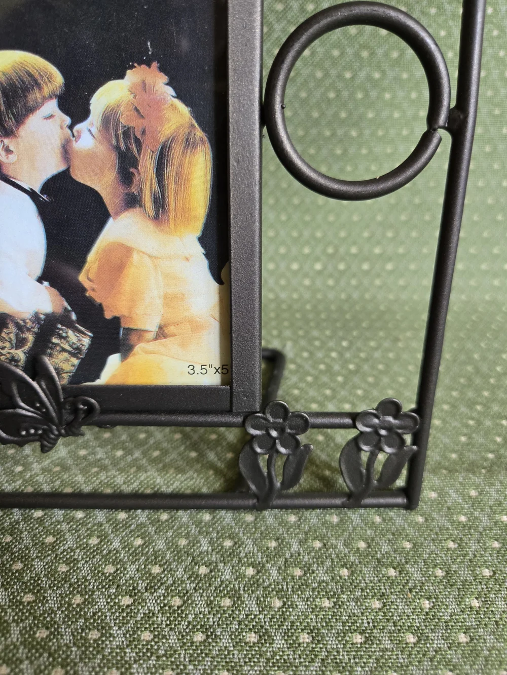 Daisy & Butterfly Accent Metal Photo Frame - Holds 3.5